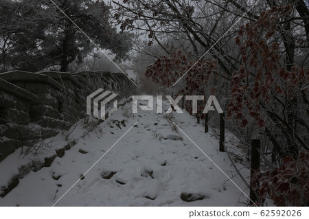 國家公園，朝鮮，冬天的樹，雪 62592026