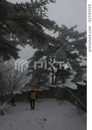 National Parks, North Korea, Winter Trees, Snow National Parks, North Korea, Winter Trees, Snow 62592028
