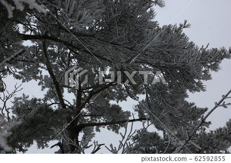 國家公園,北寒山,雪景,冬季 國家公園,北寒山,雪景,冬季 62592855