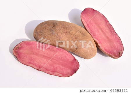 土豆(北紅寶石) 土豆(北紅寶石) 62593531