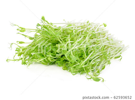 Green pea sprouts isolated on white background. 62593652