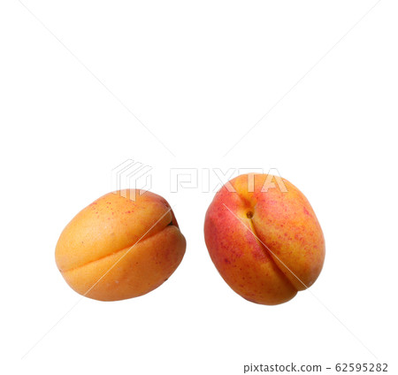 Apricots with leaves 62595282