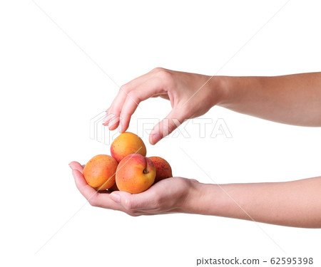 ripe apricots in a hand on a white background ripe apricots in a hand on a white background 62595398