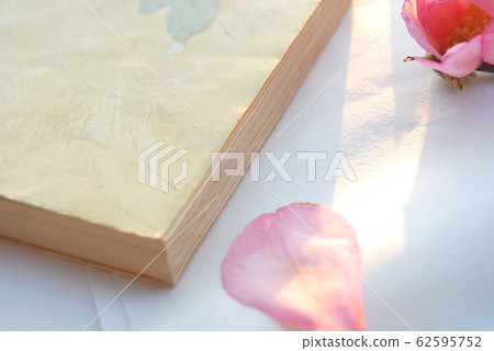 Japanese paper and sasanqua 62595752