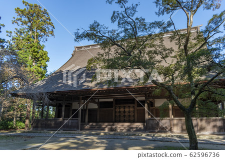 Blue sky and vine forest auditorium ruins 62596736