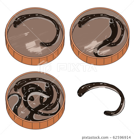 鰻魚在浴缸裡 62596914