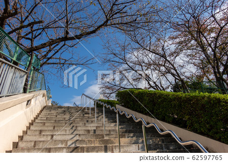 Obata Nishi Park 62597765