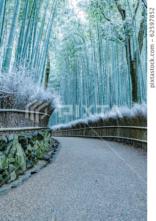 Bamboo forest snow scene-Arashiyama 62597852