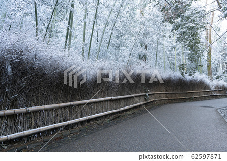 竹林雪景-嵐山 竹林雪景-嵐山 62597871