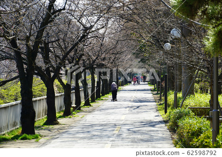 仙台H川公園 62598792