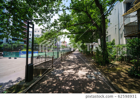 Dai Yokogawa Water Park 62598931