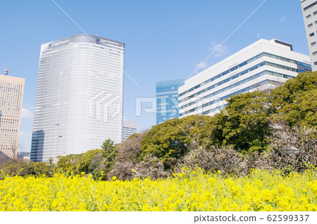 東京Hamarikyu花園油菜田和汐留建築物 62599337