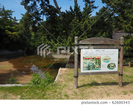 倉橋狗遺跡 62600343