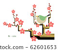 Simple illustration of plum 62601653