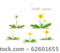 Simple illustration of dandelion 62601655