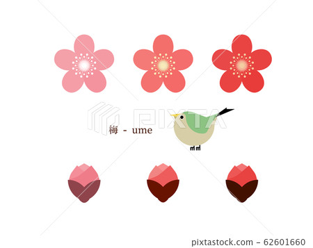 Simple illustration of plum blossom Simple illustration of plum blossom 62601660