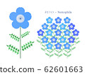 Simple illustration of nemophila 62601663