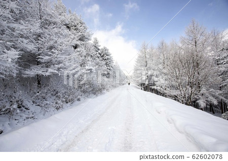 白羽山下雪的冬天的景色 62602078