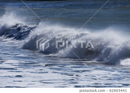 海濱 62603441