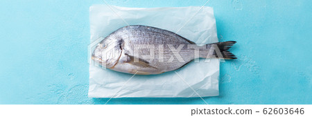 Raw Dorado fish on a parchment paper. Blue stone background. Top view. 62603646