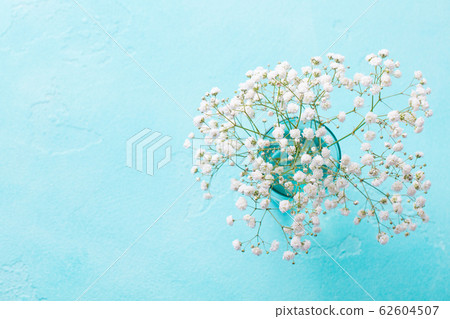 Gypsophila, baby breath flowers in glass vase on blue background. Top view. Copy space. Gypsophila, baby breath flowers in glass vase on blue background. Top view. Copy space. 62604507