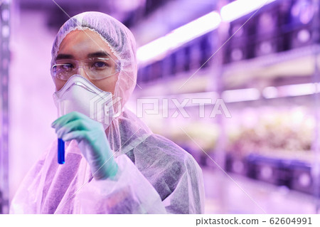 Chemist working with analysis Chemist working with analysis 62604991