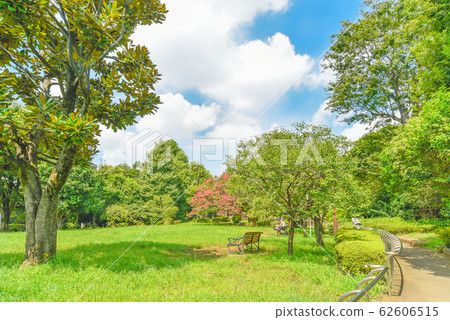 Haneki公園 62606515