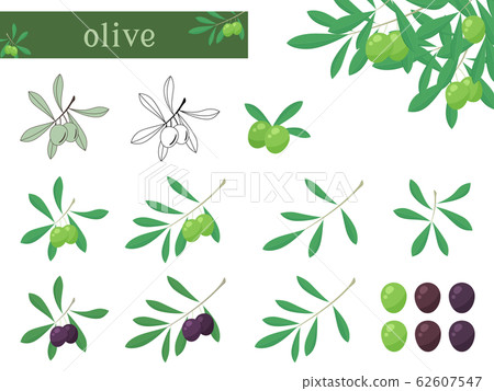 Olive illustration set 62607547