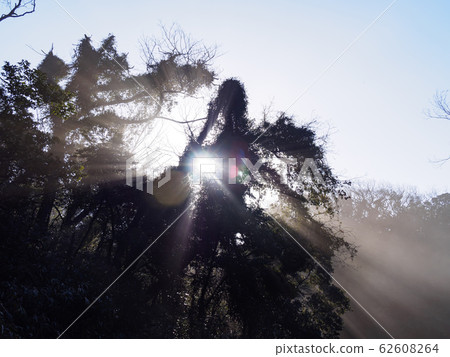 Small retail 62608264