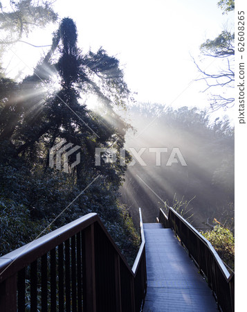 Small retail 62608265