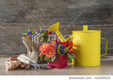 Spring gardening concept. Different flowers  62609029
