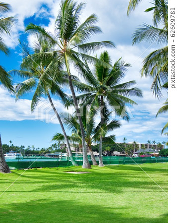 Hawaii scenery 4 Hawaii scenery 4 62609781