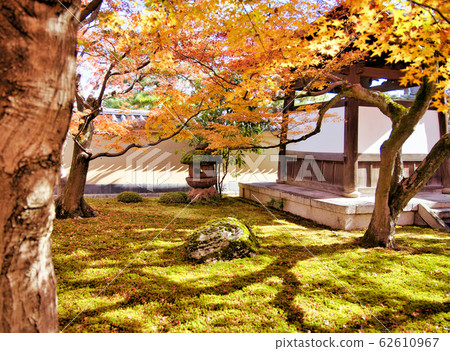Autumn leaves in Kyoto garden Autumn leaves in Kyoto garden 62610967