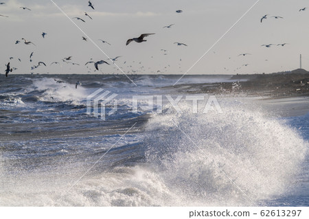 洶湧的大海 62613297