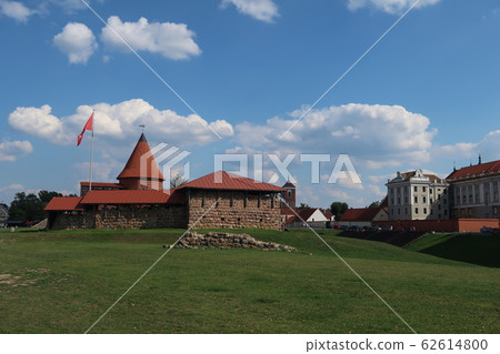 Kaunas Castle 62614800
