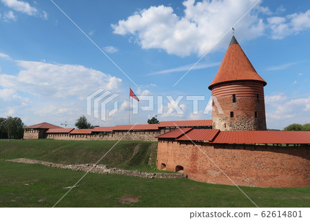 Kaunas Castle 62614801