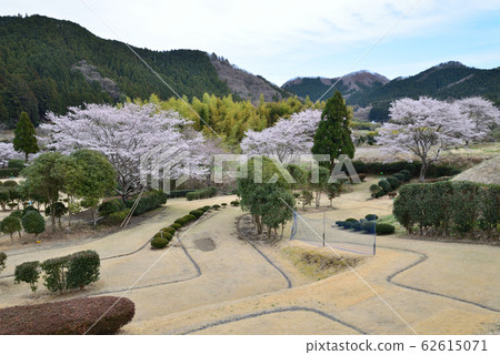 Yasuragi no Sato Park 2019-4-11 #8 62615071