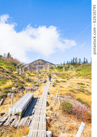 Autumn Hiuchiyama climbing (From Takaya Pond to Hiuchiyama) Autumn Hiuchiyama climbing (From Takaya Pond to Hiuchiyama) 62616795