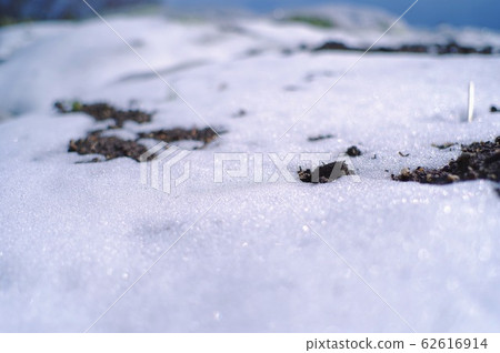 在該字段中的雪景 62616914