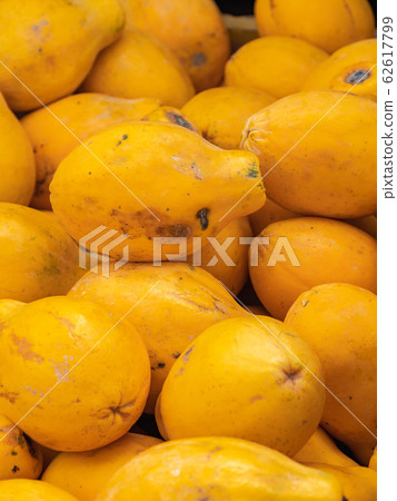 Papaya (tropical fruit) from Kona, Hawaii Island 62617799