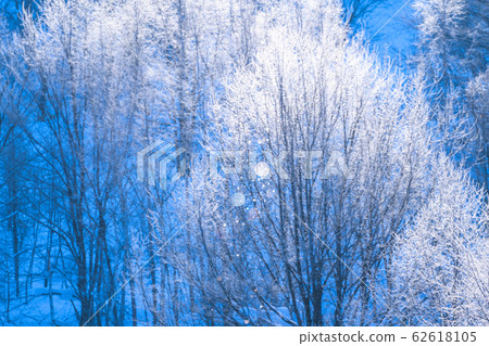 美北冬季“北海道”白霜和鑽石塵 62618105