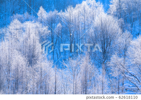 "Hokkaido" hoarfrost and diamond dust, Biei in winter "Hokkaido" hoarfrost and diamond dust, Biei in winter 62618110