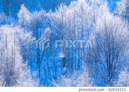 美北冬季“北海道”白霜和鑽石塵 美北冬季“北海道”白霜和鑽石塵 62618111
