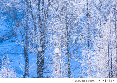 "Hokkaido" hoarfrost and diamond dust, Biei in winter 62618157