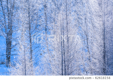 "Hokkaido" hoarfrost and diamond dust, Biei in winter 62618158