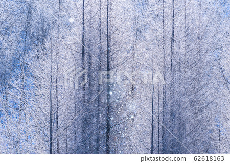 美北冬季“北海道”白霜和鑽石塵 美北冬季“北海道”白霜和鑽石塵 62618163