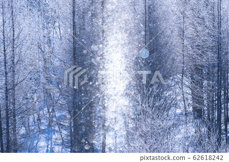 美北冬季“北海道”白霜和鑽石塵 62618242