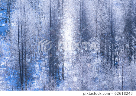 美北冬季“北海道”白霜和鑽石塵 62618243