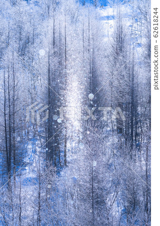 美北冬季“北海道”白霜和鑽石塵 62618244