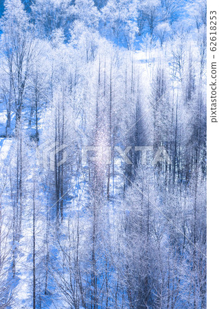 美北冬季“北海道”白霜和鑽石塵 62618253